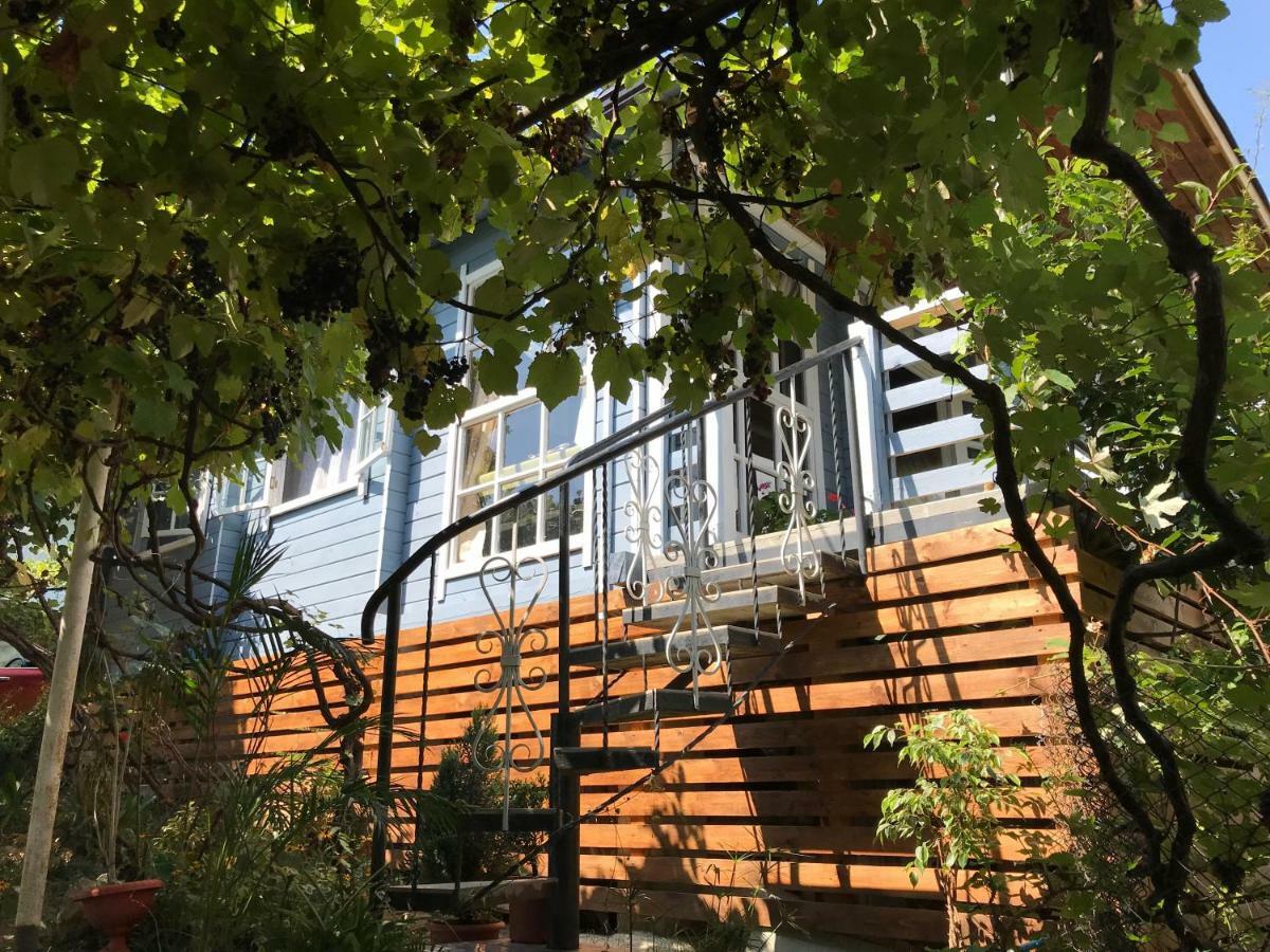 Eco Cottage Marina New Athos 外观 照片